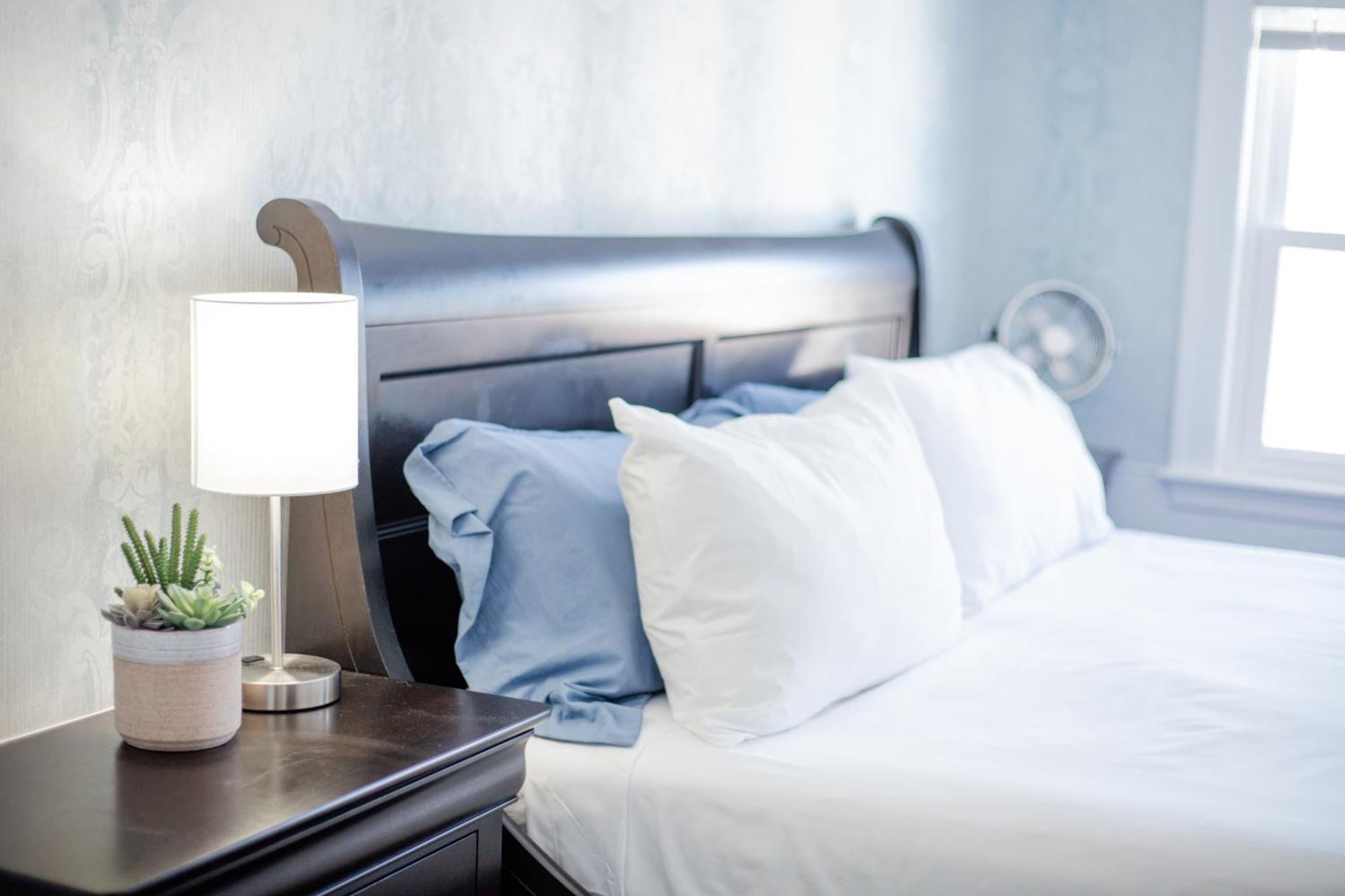 Blue Bear Inn Francestown Zewnętrze zdjęcie